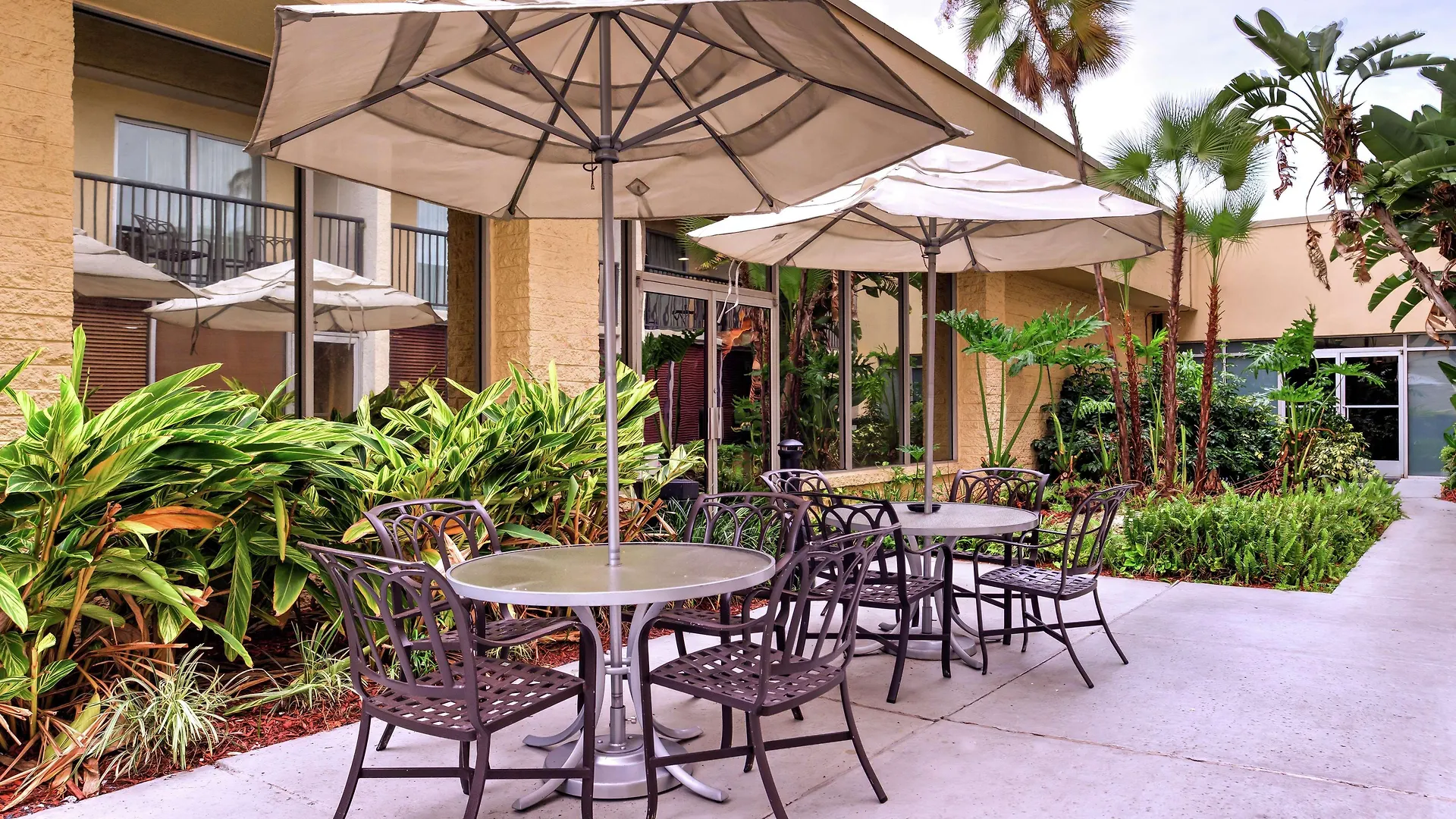 ***  Doubletree By Hilton Hotel Tampa Airport-Westshore 美国