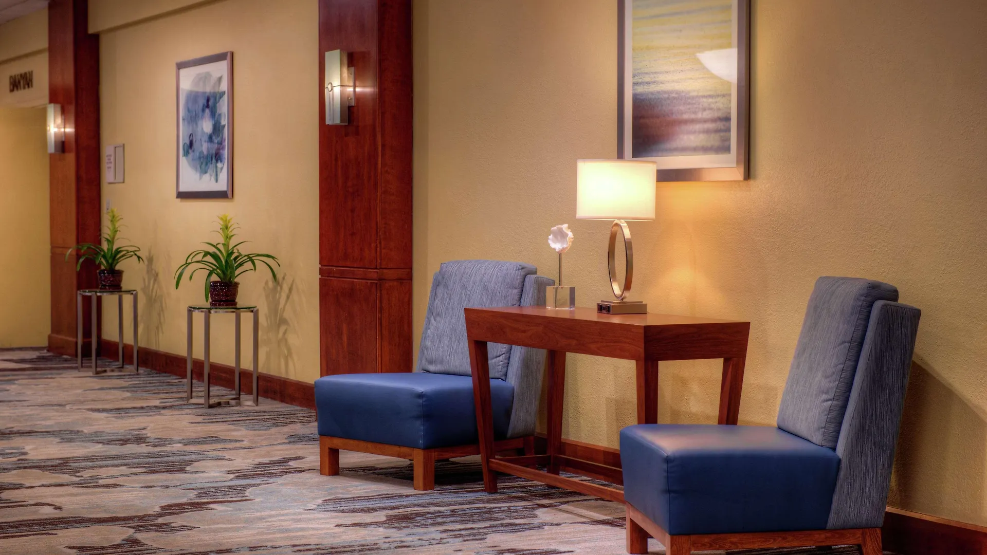 Doubletree By Hilton Hotel Tampa Airport-Westshore 美国
